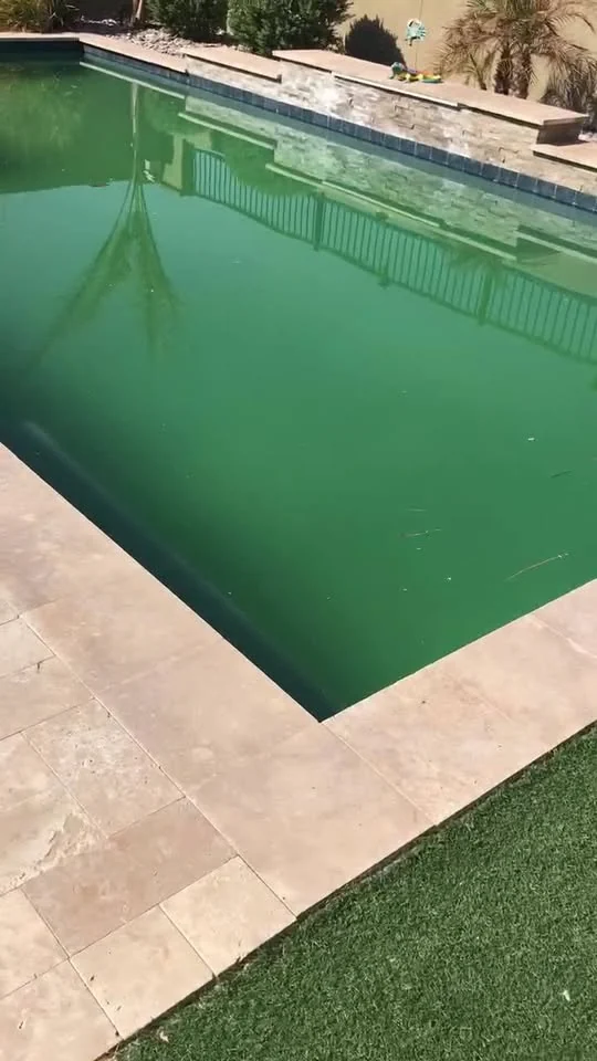 Green pool water beside a paved deck